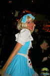 Bild Nr. 22033